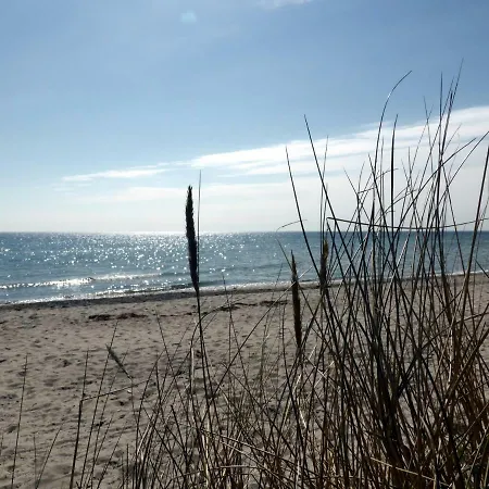 Meeresblick *